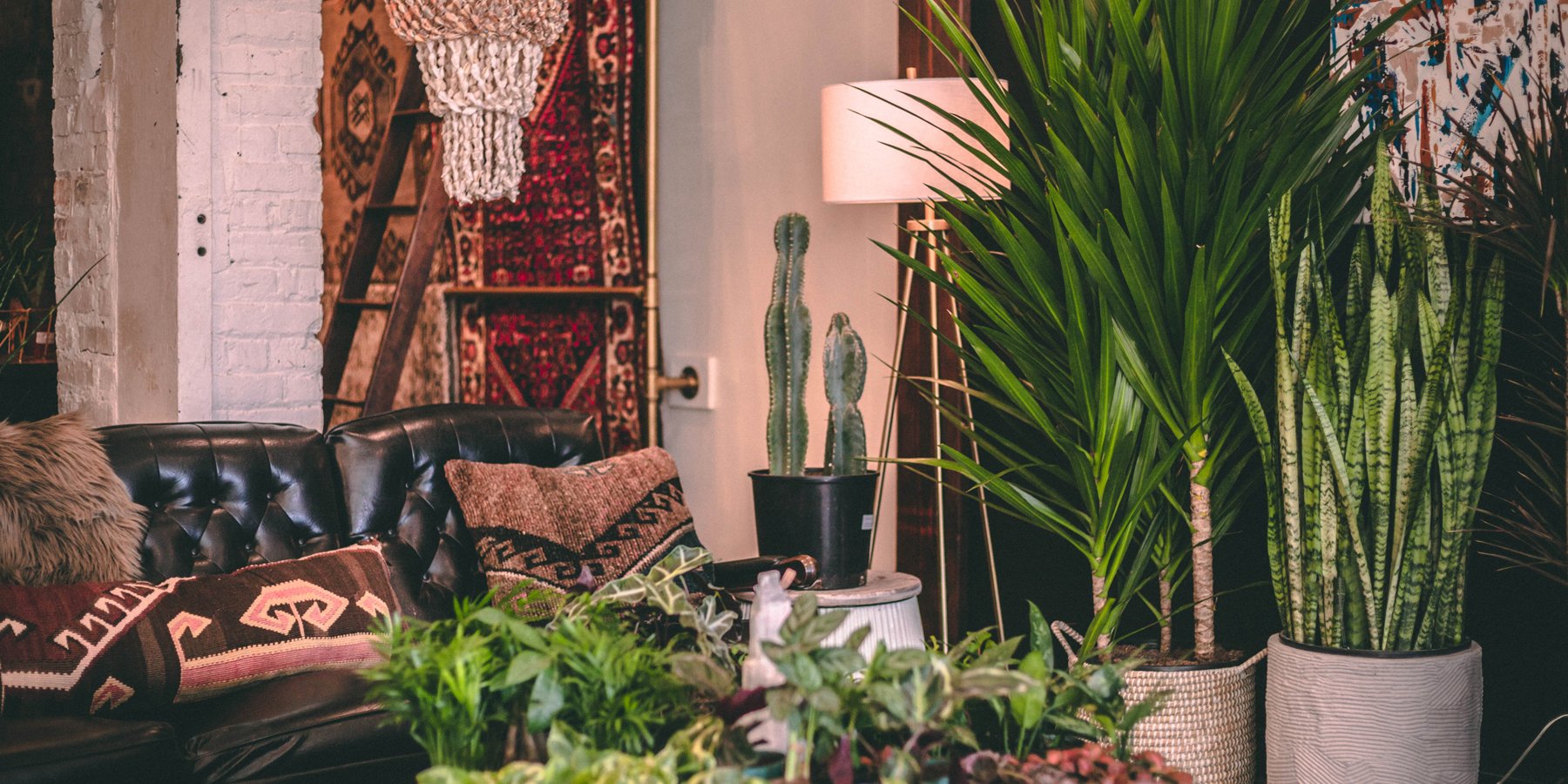Good Roots Park & Oak Interior Design | Good Roots | Chicago Plant Shop