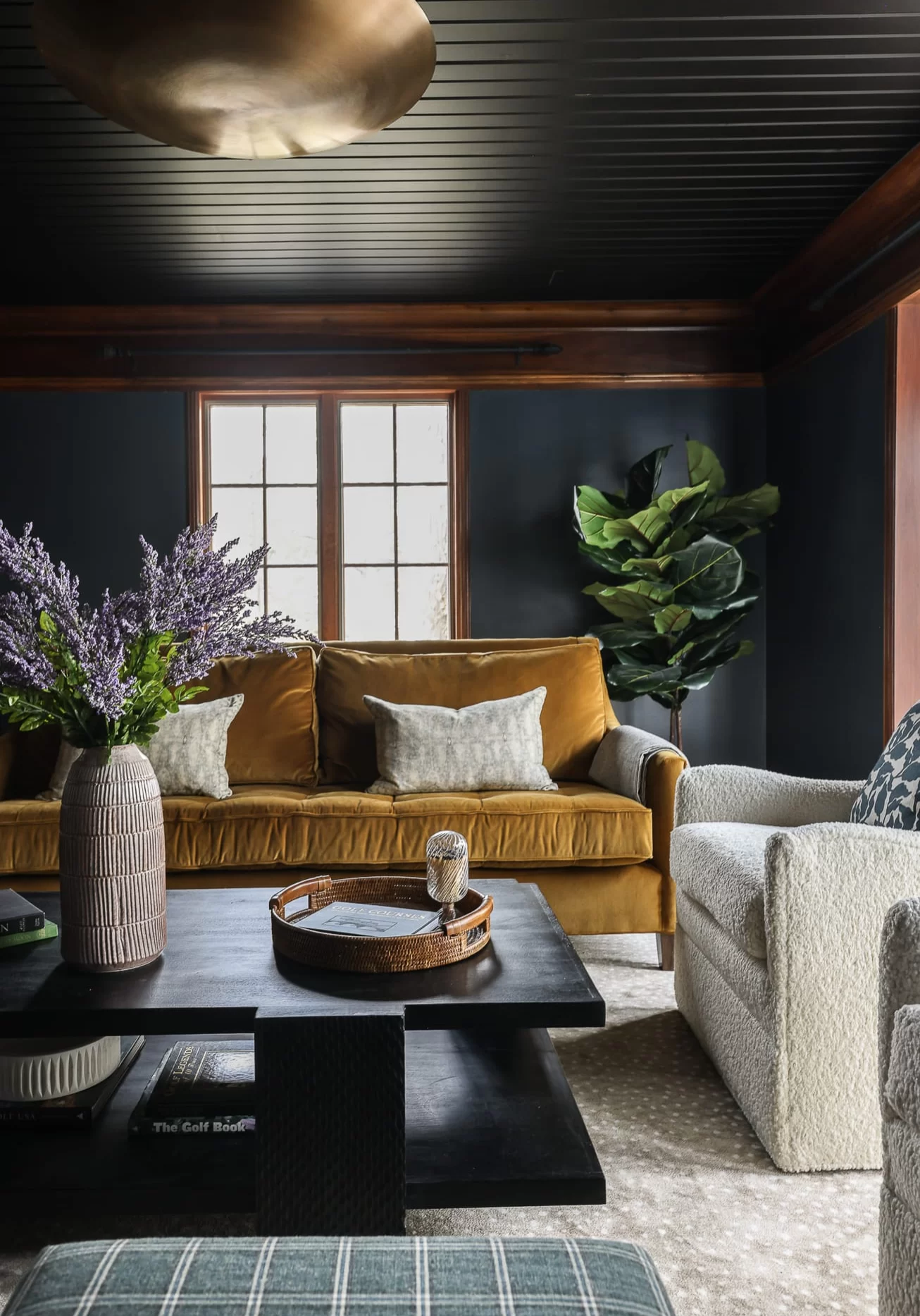 interior-design-living-room-Affeldt-019